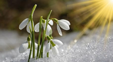 Este fenómeno natural simboliza el cambio de estación y el inicio de un periodo caracterizado por el aumento de la luz solar. CANVA/ESPECIAL
