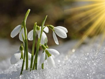 Este fenómeno natural simboliza el cambio de estación y el inicio de un periodo caracterizado por el aumento de la luz solar. CANVA/ESPECIAL