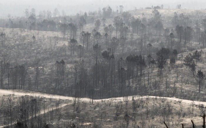 Una sequía prolongada y temperaturas de más de 30 grados centígrados (86Âº F) a mediados de octubre han alimentado los incendios. EFE / P. Cunha