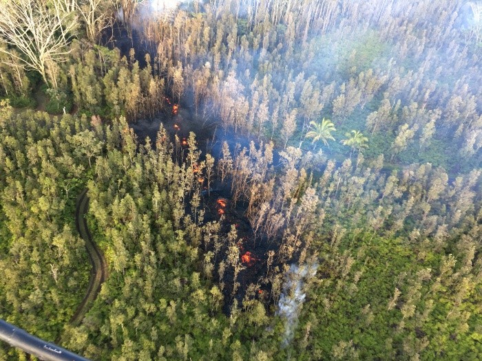 Río de lava en el bosque
