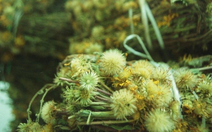 Guadalajara, Jalisco. Mexico. Sábado 20 de abril del 2002. Aspectos de yerberías en el Mercado Corona. El Informador. Eva Becerra