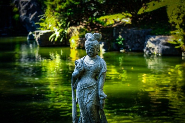 Parque Bosque de los Colomos. EL INFORMADOR / ARCHIVO