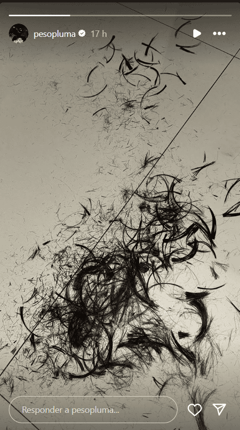 &nbsp;ESPECIAL / Instagram pesopluma