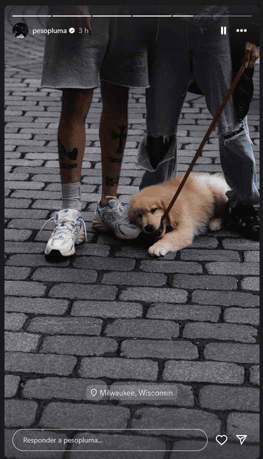 ESPECIAL&nbsp;/ INSTAGRAM/ @pesopluma.