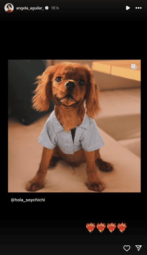 ESPECIAL / Instagram&nbsp;