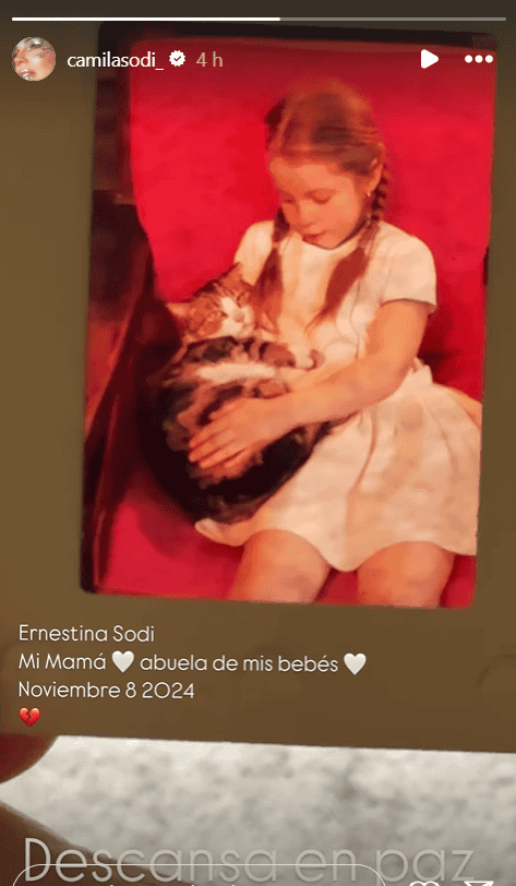 &nbsp;ESPECIAL / INSTAGRAM @camilasodi_