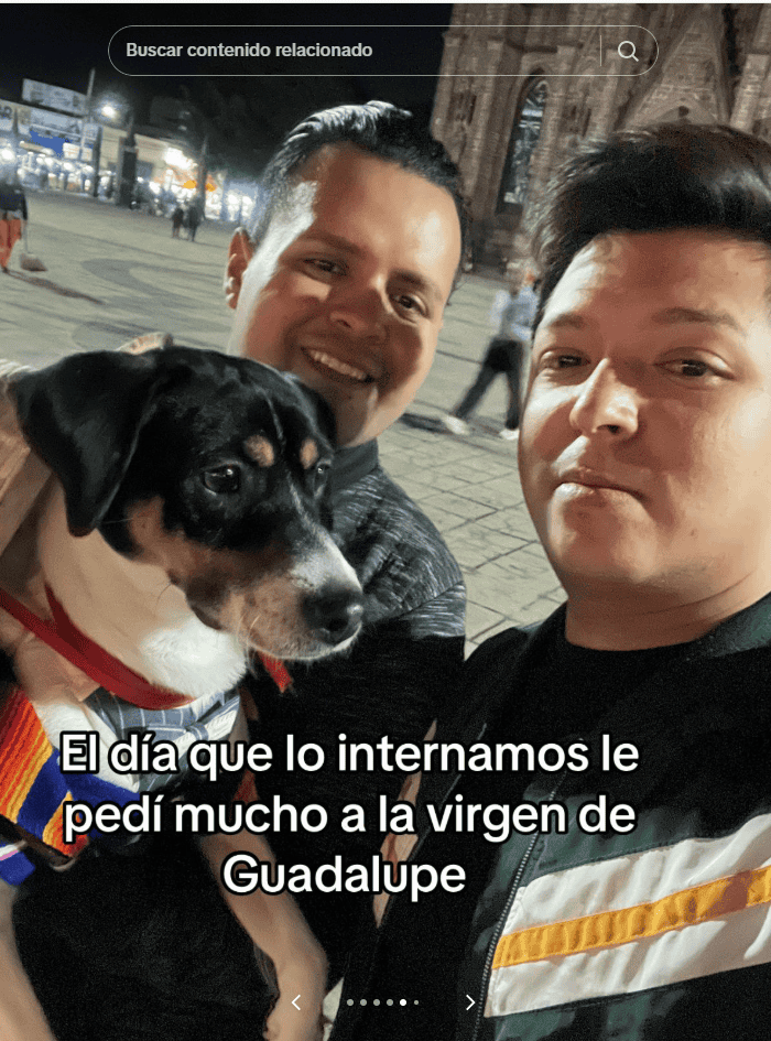  ESPECIAL/TIKTOK/@artube78.