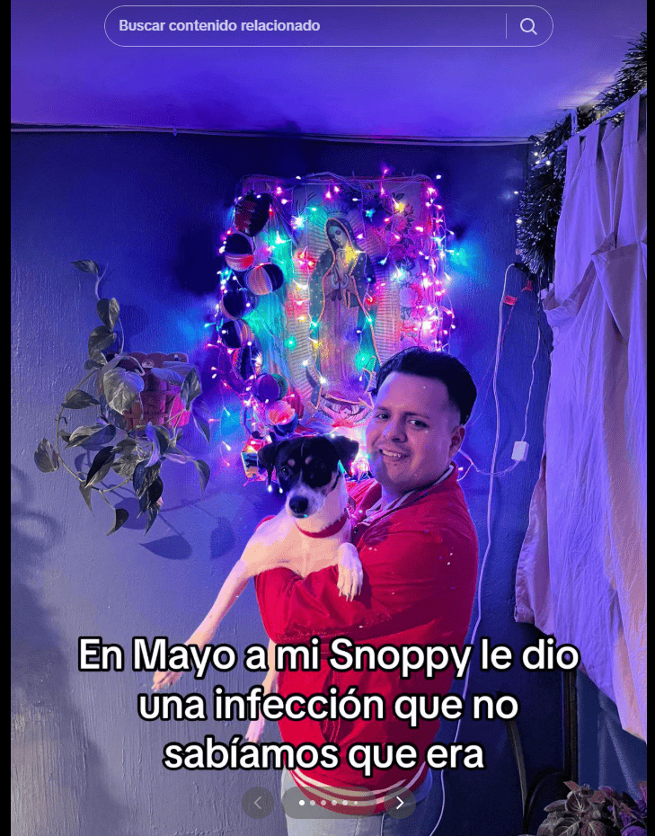  ESPECIAL/TIKTOK/@artube78.