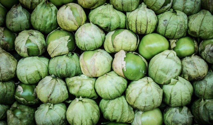 &nbsp;GOBIERNO DE MÉXICO.