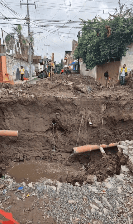  ESPECIAL / EL INFORMADOR