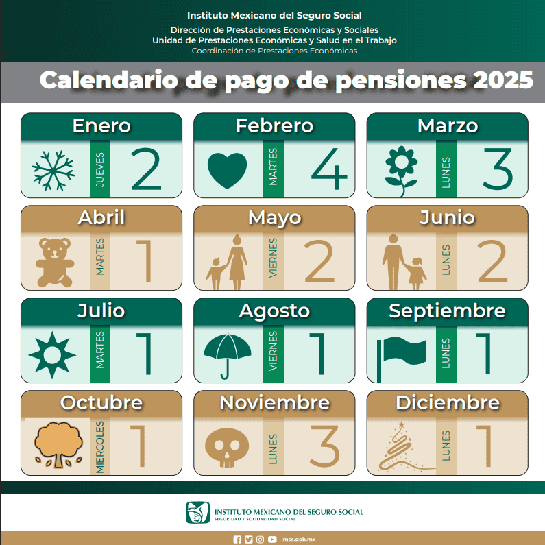 &nbsp;ESPECIAL / IMSS