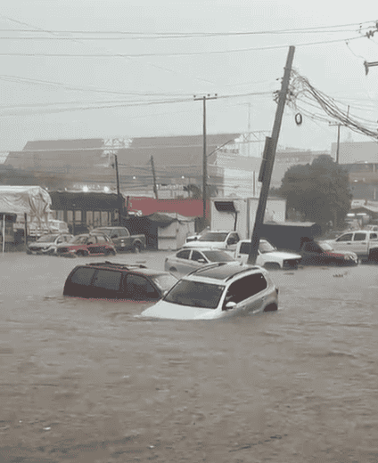  ESPECIAL / Facebook / Cosas del mercado gdl