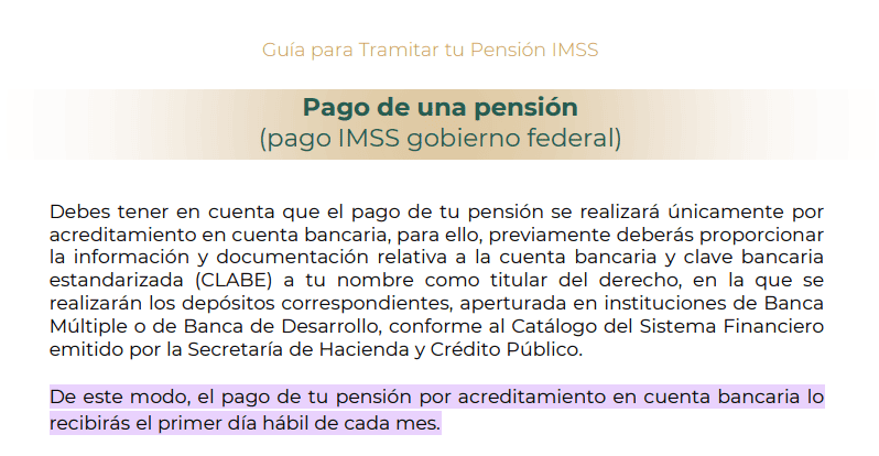 ESPECIAL / IMSS 