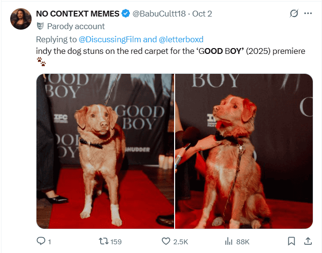   Indy, el protagonista de 