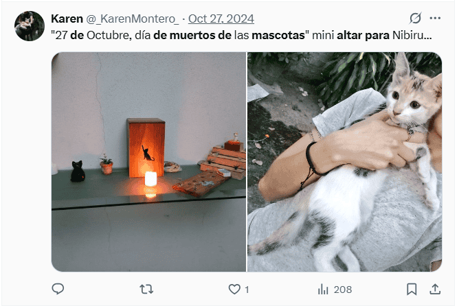  Ofrendas para las mascotas fallecidas previo al Día de Muertos. X / @_KarenMontero_