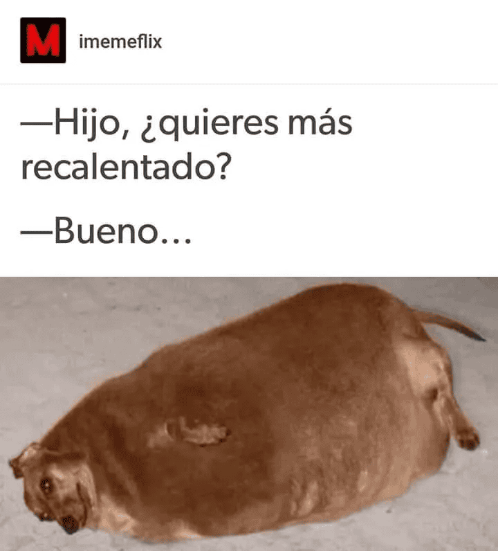 ESPECIAL / INTERNET&nbsp;&nbsp;