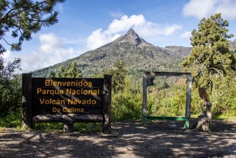 Esta área natural protegida destaca no solo por su imponente paisaje, sino también por su importancia ecológica. CONANP&nbsp;