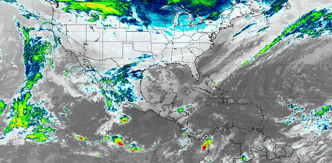 ESPECIAL / IAM&nbsp;